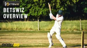 Betswiz Overview – Top Cricket Sportsbook in Bangladesh